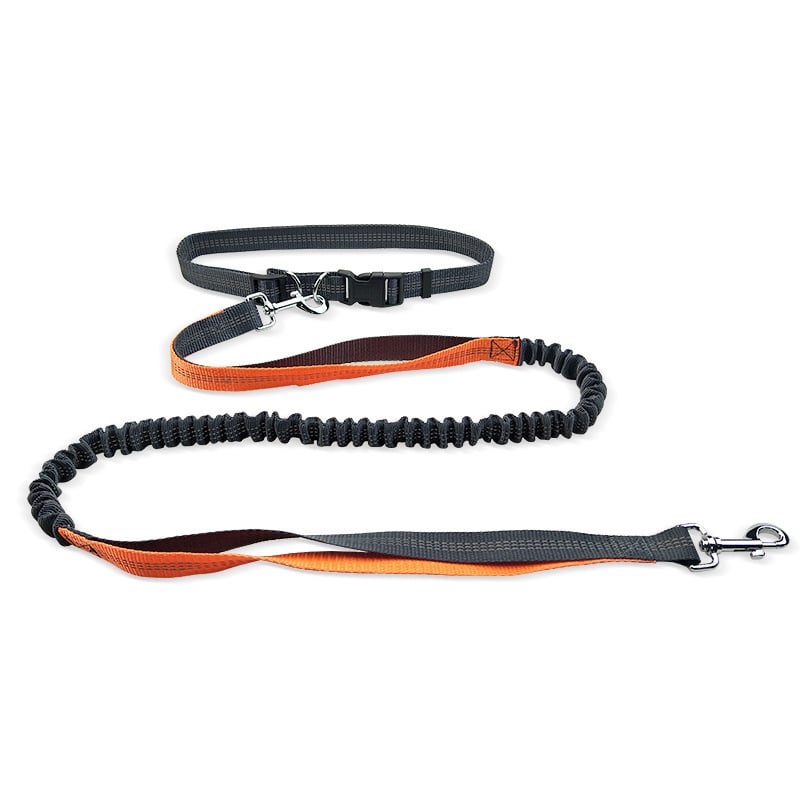 Hands-Free Dog Walking Belt with Shock-Absorbing Detachable Leash