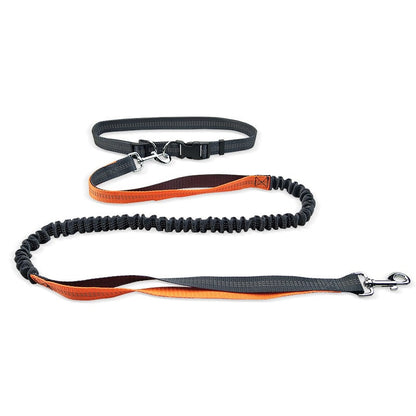 Hands-Free Dog Walking Belt with Shock-Absorbing Detachable Leash