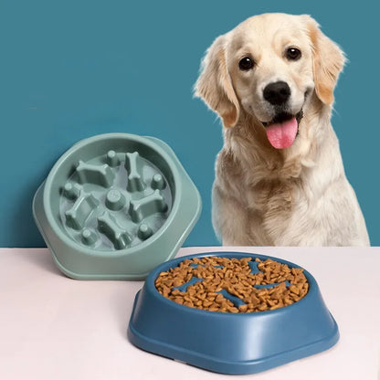 PacePaw™ Slow Feeder Dog Bowl