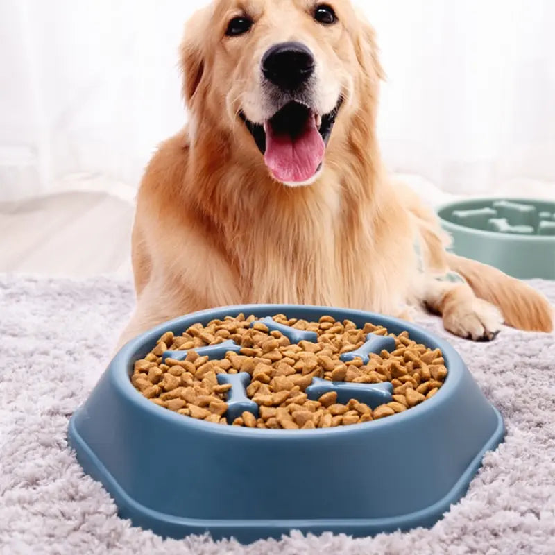 PacePaw™ Slow Feeder Dog Bowl