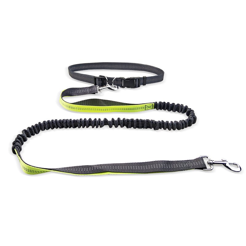 Hands-Free Dog Walking Belt with Shock-Absorbing Detachable Leash