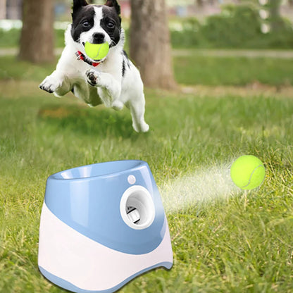 AutoFetch™ Automatic Dog Ball Launcher