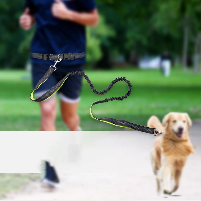Hands-Free Dog Walking Belt with Shock-Absorbing Detachable Leash