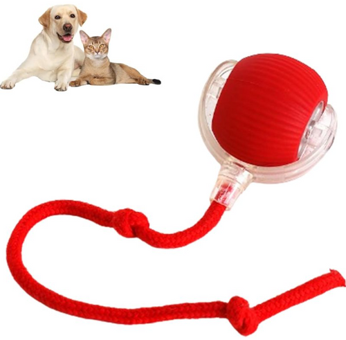 PawRoll™ Self-Rolling Interactive Pet Ball