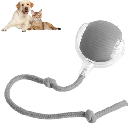 PawRoll™ Self-Rolling Interactive Pet Ball
