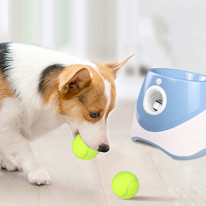 AutoFetch™ Automatic Dog Ball Launcher