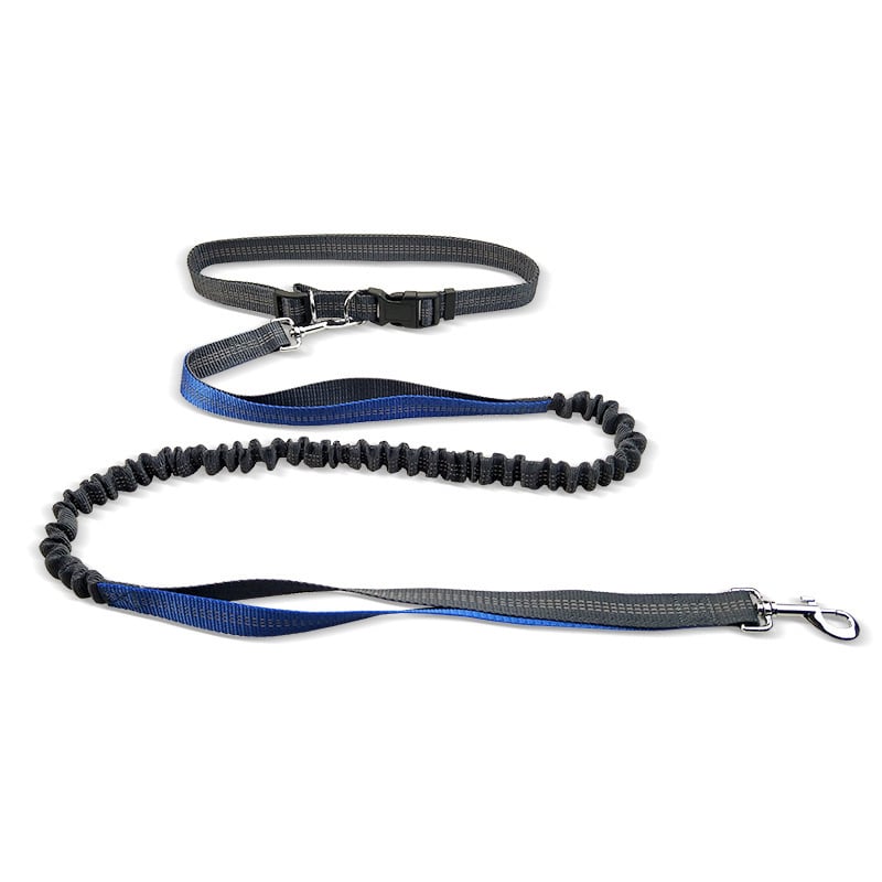 Hands-Free Dog Walking Belt with Shock-Absorbing Detachable Leash