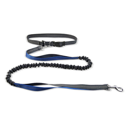 Hands-Free Dog Walking Belt with Shock-Absorbing Detachable Leash